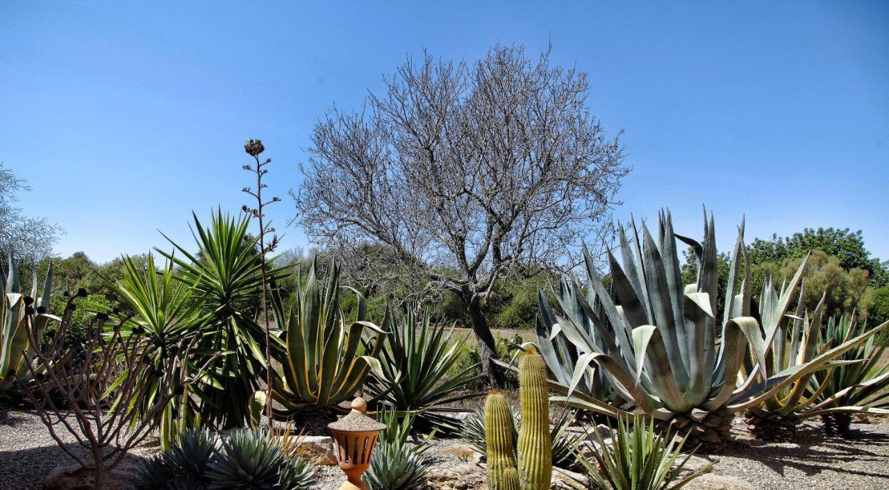 Finca Casa Mas Santanyí Buitenkant foto
