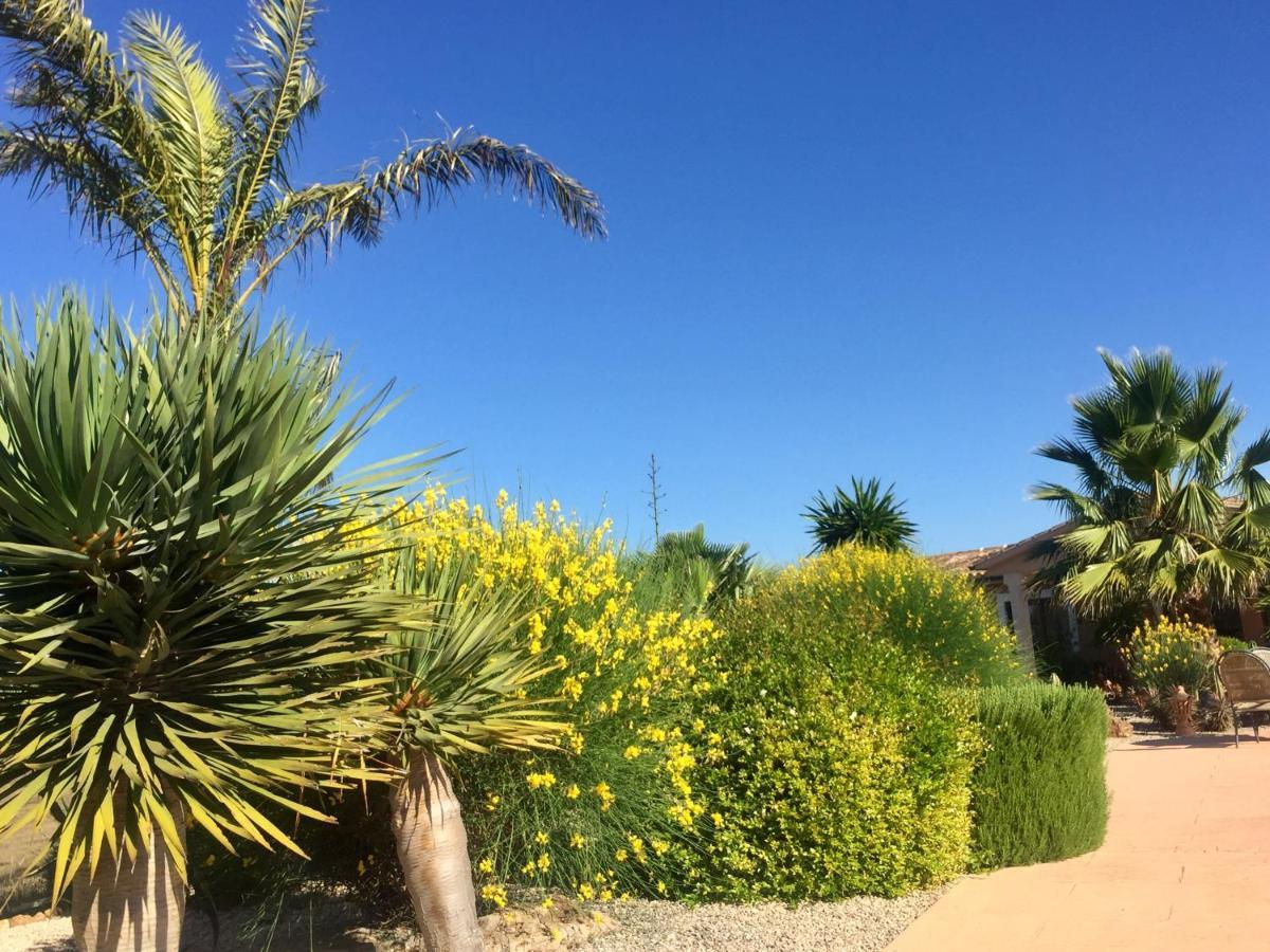 Finca Casa Mas Santanyí Buitenkant foto